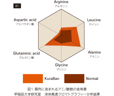 図１ 豚肉に含まれるアミノ酸群の含有量 早稲田大学研究室   液体高速クロマトグラフィー分析結果